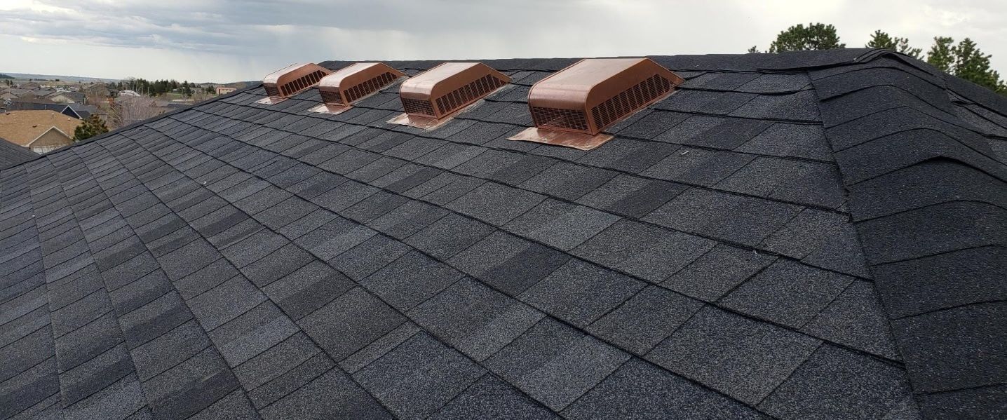 roof 1 C0sTzlbg